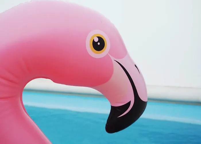 别墅 Casa Paloma *